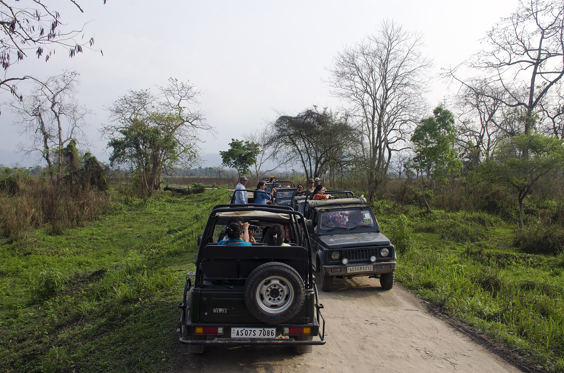 Jeep safari in Kaziranga wetlands
