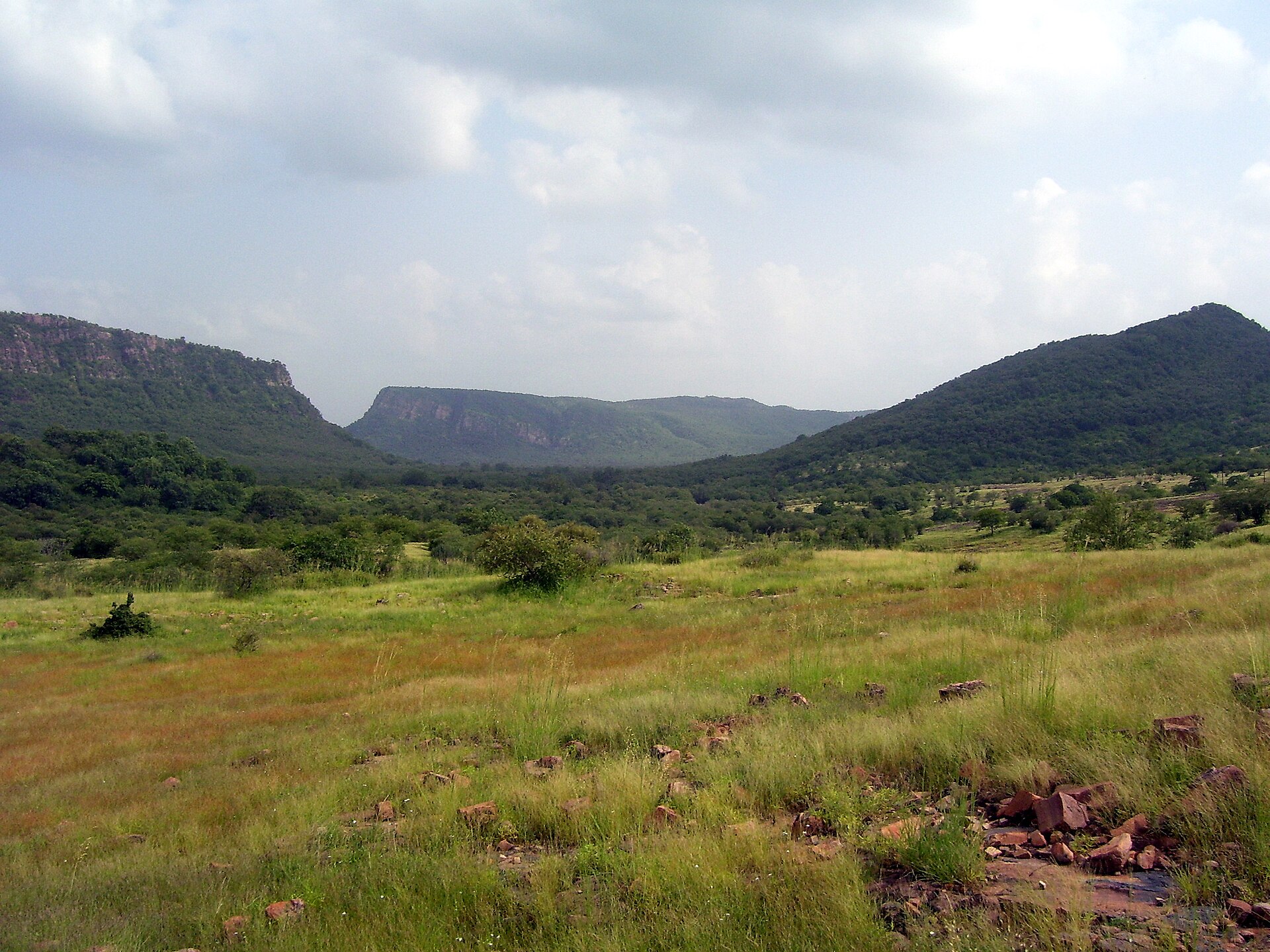 Safari experience