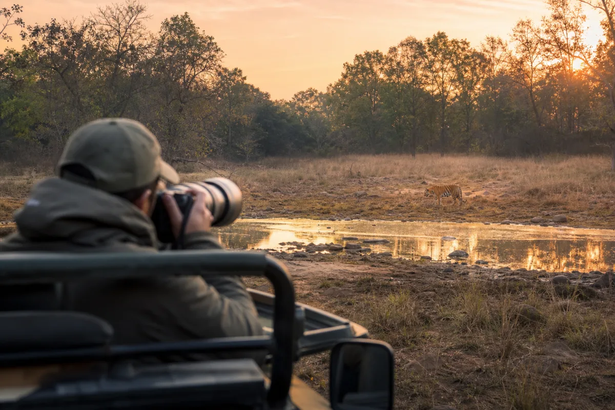 Photography Safari in Tadoba National Park