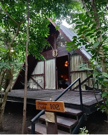 LA Selva The Jungle Retreat - Madhya Pradesh